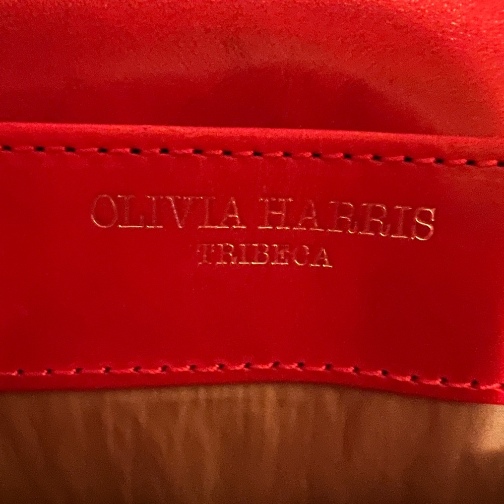 Olivia Harris, of Tribeca beautiful orange purse. Crossbody strap